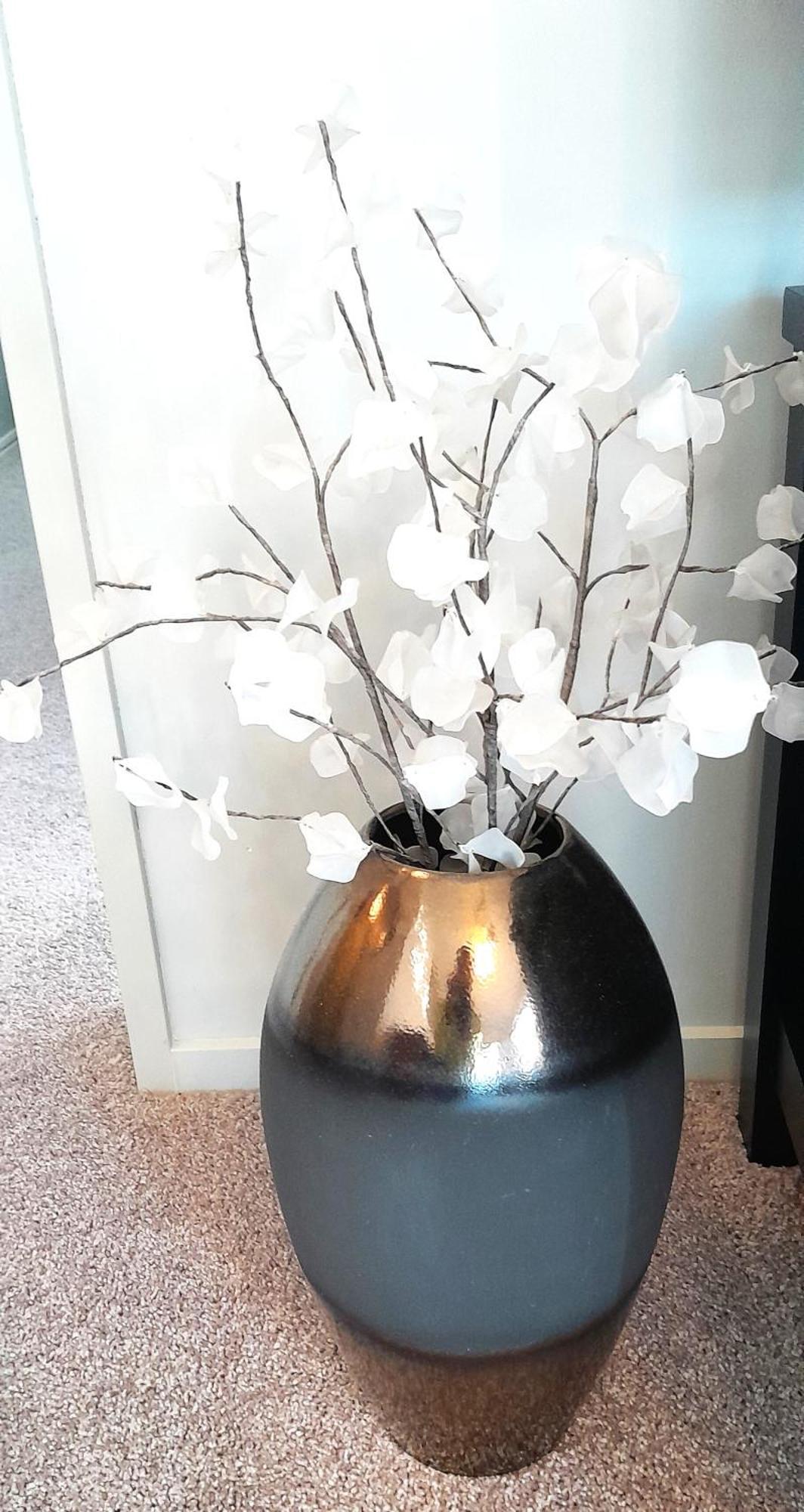 Aquila Haven Guest House Whitianga Bagian luar foto
